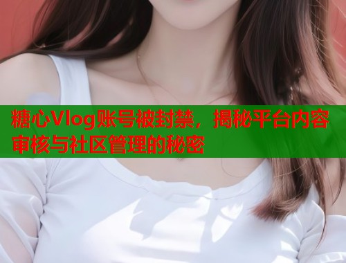 糖心Vlog账号被封禁，揭秘平台内容审核与社区管理的秘密  第1张